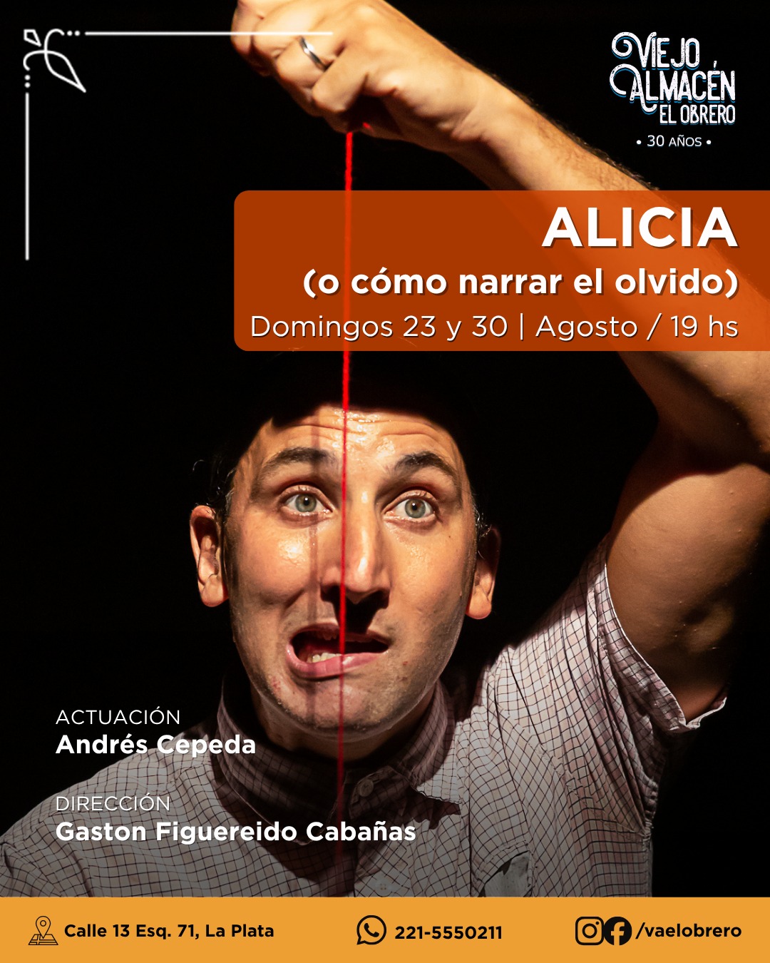 Alicia (o como narrar el olvido)